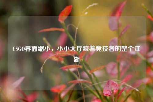 CSGO界面缩小，小小大厅藏着竞技者的整个江湖