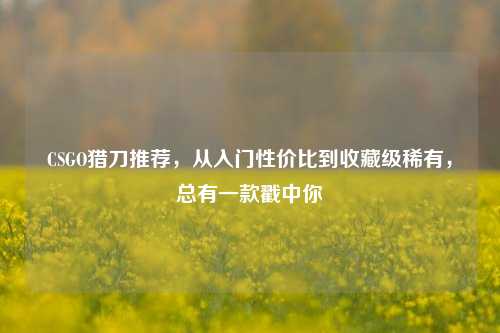 CSGO猎刀推荐，从入门性价比到收藏级稀有，总有一款戳中你