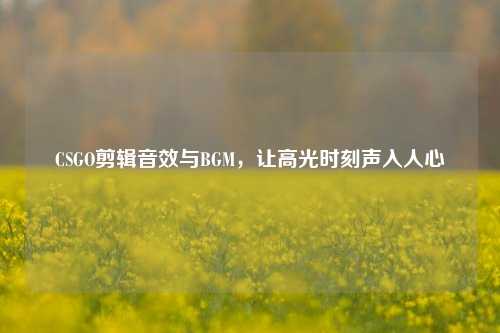 CSGO剪辑音效与BGM，让高光时刻声入人心
