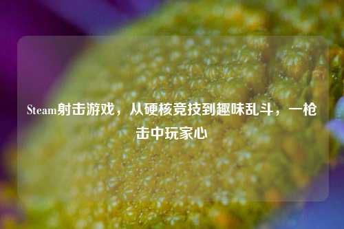 Steam射击游戏,从硬核竞技到趣味乱斗,一枪击中玩家心