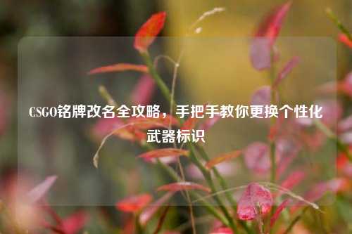 CSGO铭牌改名全攻略,手把手教你更换个性化武器标识