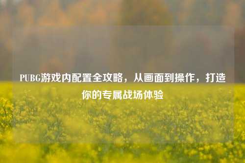 PUBG游戏内配置全攻略，从画面到操作，打造你的专属战场体验