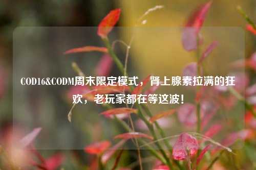 COD16&CODM周末限定模式,肾上腺素拉满的狂欢,老玩家都在等这波!