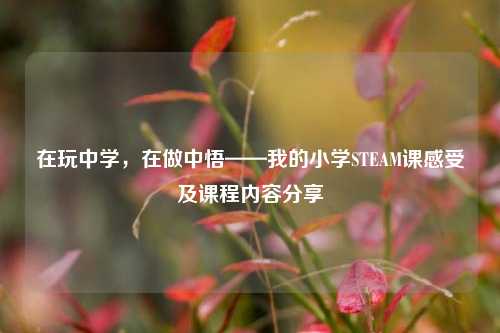 在玩中学，在做中悟——我的小学STEAM课感受及课程内容分享