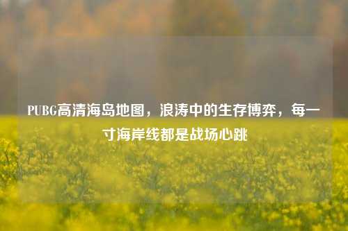 PUBG高清海岛地图，浪涛中的生存博弈，每一寸海岸线都是战场心跳