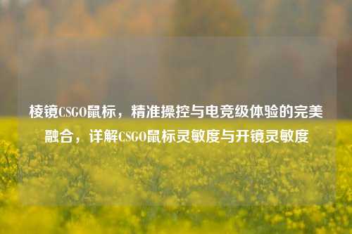 棱镜CSGO鼠标，精准操控与电竞级体验的完美融合，详解CSGO鼠标灵敏度与开镜灵敏度