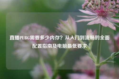直播PUBG需要多少内存?从入门到流畅的全面配置指南及电脑最低要求