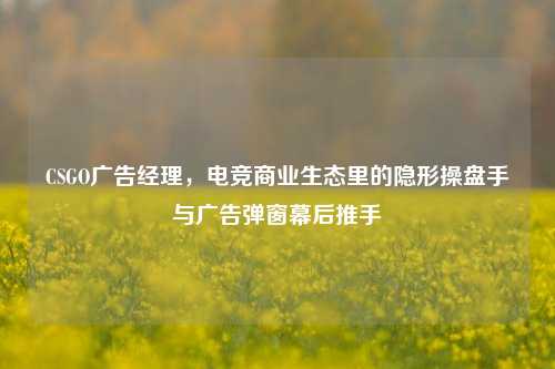 CSGO广告经理,电竞商业生态里的隐形操盘手与广告弹窗幕后推手