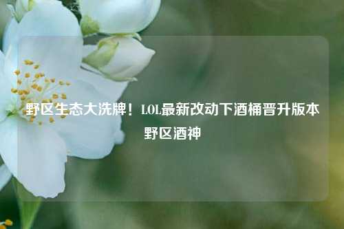 野区生态大洗牌！LOL最新改动下酒桶晋升版本野区酒神