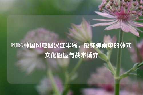 PUBG韩国风地图汉江半岛,枪林弹雨中的韩式文化邂逅与战术博弈