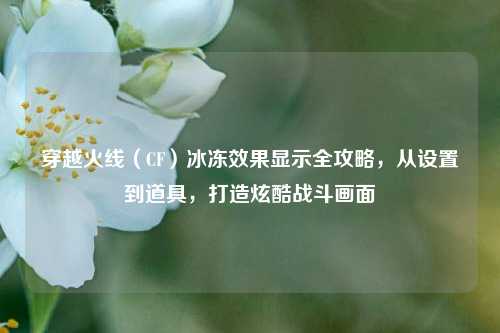 穿越火线（CF）冰冻效果显示全攻略，从设置到道具，打造炫酷战斗画面