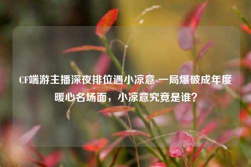 CF端游主播深夜排位遇小凉意 一局爆破成年度暖心名场面,小凉意究竟是谁?