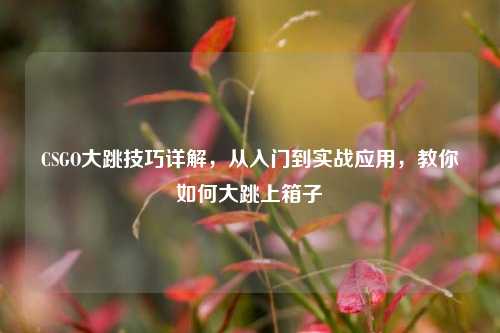 CSGO大跳技巧详解，从入门到实战应用，教你如何大跳上箱子