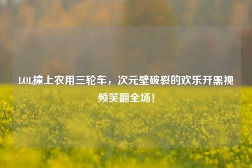 LOL撞上农用三轮车，次元壁破裂的欢乐开黑视频笑翻全场！