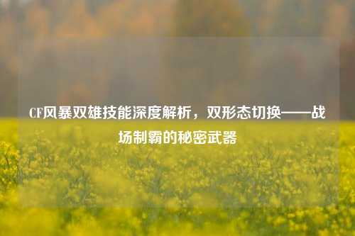 CF风暴双雄技能深度解析,双形态切换——战场制霸的秘密武器