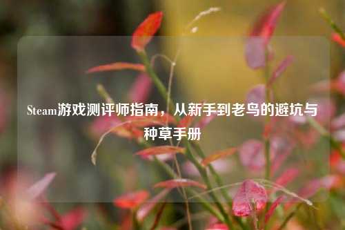 Steam游戏测评师指南，从新手到老鸟的避坑与种草手册