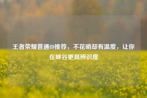 王者荣耀普通ID推荐,不花哨却有温度,让你在峡谷更具辨识度