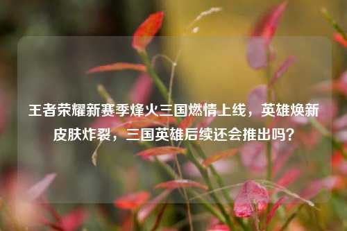 王者荣耀新赛季烽火三国燃情上线，英雄焕新皮肤炸裂，三国英雄后续还会推出吗？