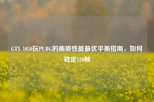 GTX 1050玩PUBG的画质性能最优平衡指南，如何稳定120帧