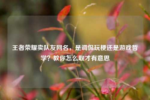 王者荣耀卖队友网名，是调侃玩梗还是游戏哲学？教你怎么取才有意思