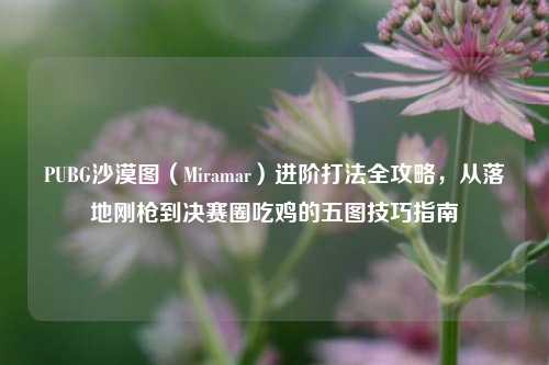 PUBG沙漠图（Miramar）进阶打法全攻略，从落地刚枪到决赛圈吃鸡的五图技巧指南