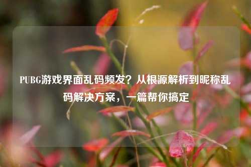 PUBG游戏界面乱码频发？从根源解析到昵称乱码解决方案，一篇帮你搞定
