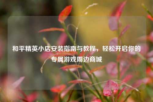 和平精英小店安装指南与教程，轻松开启你的专属游戏周边商城