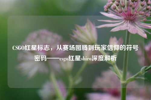 CSGO红星标志，从赛场图腾到玩家信仰的符号密码——csgo红星shiro深度解析