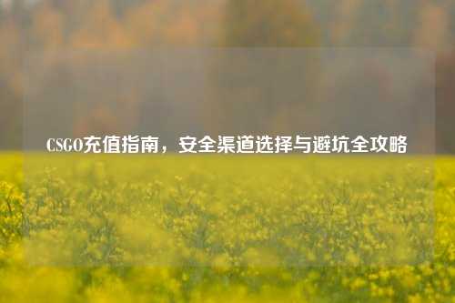 CSGO充值指南,安全渠道选择与避坑全攻略