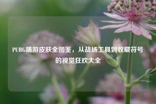 PUBG端游皮肤全图鉴，从战场工具到收藏符号的视觉狂欢大全