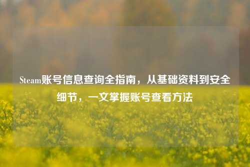 Steam账号信息查询全指南,从基础资料到安全细节,一文掌握账号查看方法
