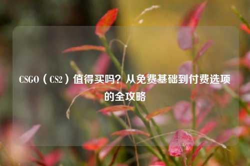 CSGO(CS2)值得买吗?从免费基础到付费选项的全攻略