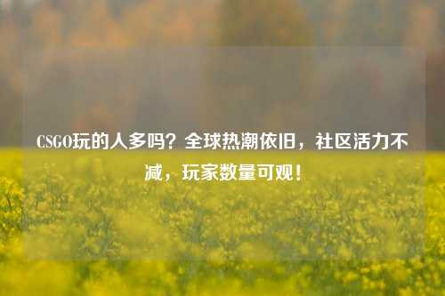CSGO玩的人多吗?全球热潮依旧,社区活力不减,玩家数量可观!