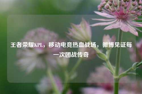 王者荣耀KPL,移动电竞热血战场,微博见证每一次团战传奇