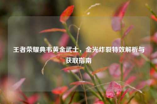 王者荣耀典韦黄金武士,金光炸裂特效解析与获取指南