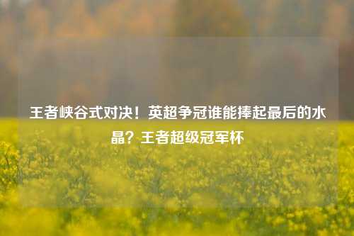 王者峡谷式对决！英超争冠谁能捧起最后的水晶？王者超级冠军杯
