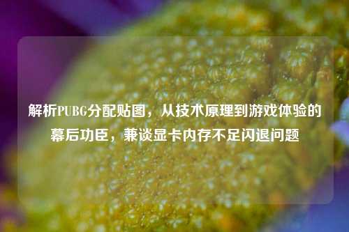解析PUBG分配贴图,从技术原理到游戏体验的幕后功臣,兼谈显卡内存不足闪退问题