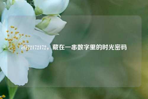 cf172172172，藏在一串数字里的时光密码