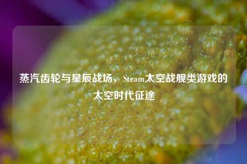 蒸汽齿轮与星辰战场,Steam太空战舰类游戏的太空时代征途