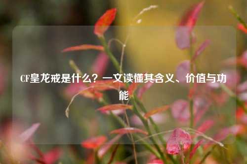 CF皇龙戒是什么？一文读懂其含义、价值与功能