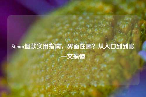 Steam退款实用指南,界面在哪?从入口到到账一文搞懂