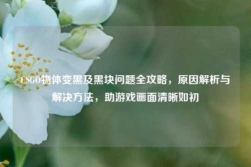 CSGO物体变黑及黑块问题全攻略，原因解析与解决方法，助游戏画面清晰如初