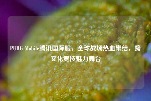 PUBG Mobile腾讯国际服，全球战场热血集结，跨文化竞技魅力舞台