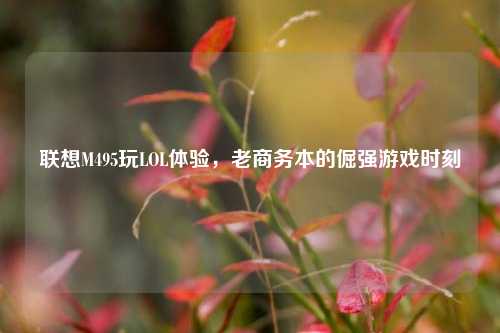 联想M495玩LOL体验，老商务本的倔强游戏时刻