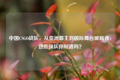 中国CSGO战队,从亚洲霸主到国际舞台破局者,这些强队你知道吗?