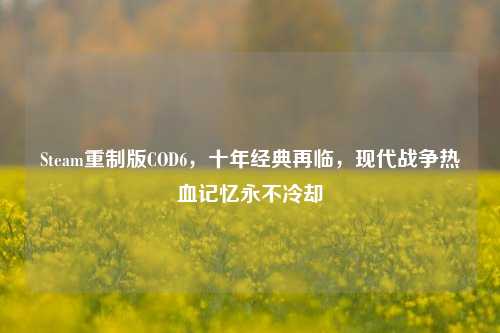 Steam重制版COD6,十年经典再临,现代战争热血记忆永不冷却