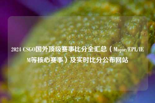 2024 CSGO国外顶级赛事比分全汇总（Major/EPL/IEM等核心赛事）及实时比分公布网站
