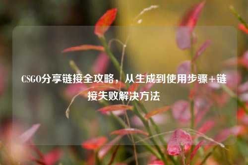 CSGO分享链接全攻略，从生成到使用步骤+链接失败解决方法
