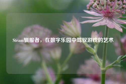 Steam驯服者，在数字乐园中驾驭游戏的艺术