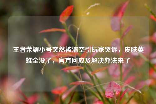 王者荣耀小号突然被清空引玩家哭诉,皮肤英雄全没了,官方回应及解决办法来了